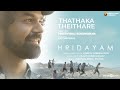 Thathaka theithare song  hridayam  pranav  vineeth  prithviraj  hesham visakh merryland