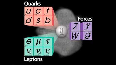 1. elementary particles