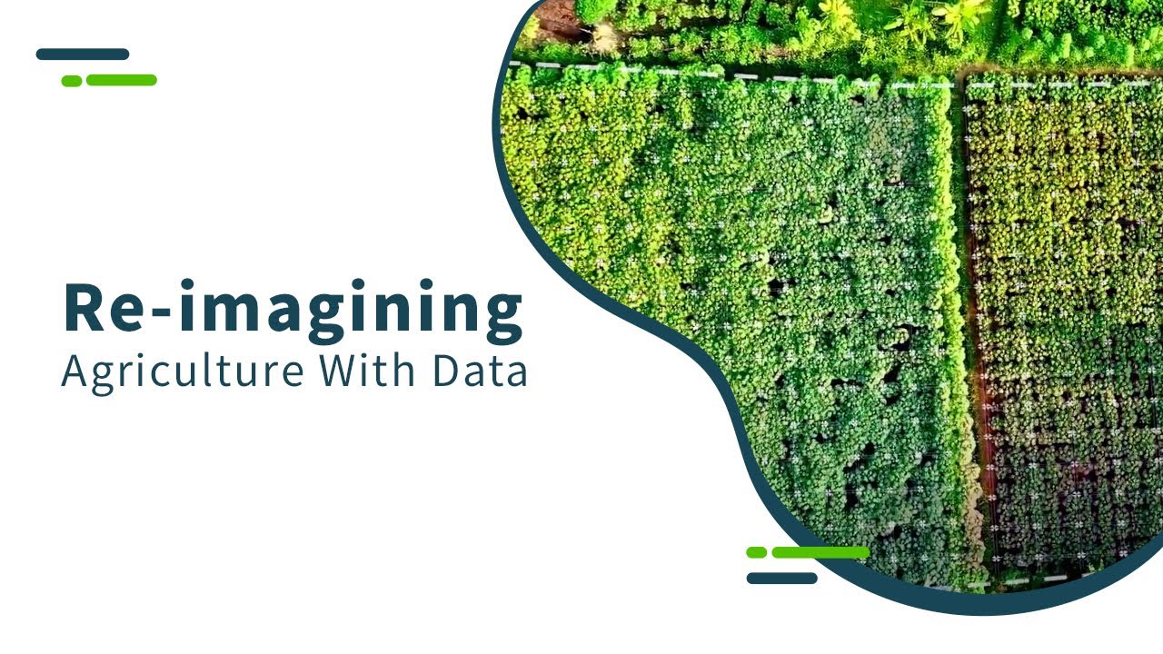 Re imagining. Re imagining. летчворт город фотографии. работы в иллюстраторе. Big data wallpaper.