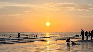 Sandbar Anna Maria Island
