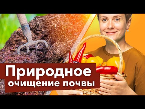 САМЫЙ ПРОСТОЙ СПОСОБ ОБЕЗЗАРАЗИТЬ ПОЧВУ ДОСТУПНЫЙ ВСЕМ!