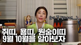 [삼재띠] 쥐띠, 원숭이띠, 용띠의 9월 10월 운세를 알아보자