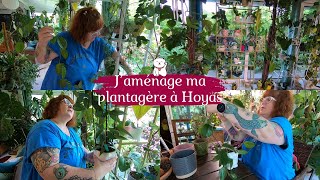 J'aménage ma nouvelle PLANTAGERE à HOYAS | Tuteurage et tri | Contente du résultat 🥰