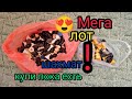 😰Такого колличества шахмат не видел самый заядлый шахматист😍Не упусти такой лот 🤑 ❌ПРОДАНО❌