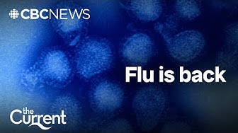 Thumbnail for Flu season is here: What you need to know | The Current