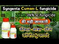 Cuman - L fungicides | Ziram 27% SC | Syngenta systemic fungicide | कुमान L | #TAACचैनल