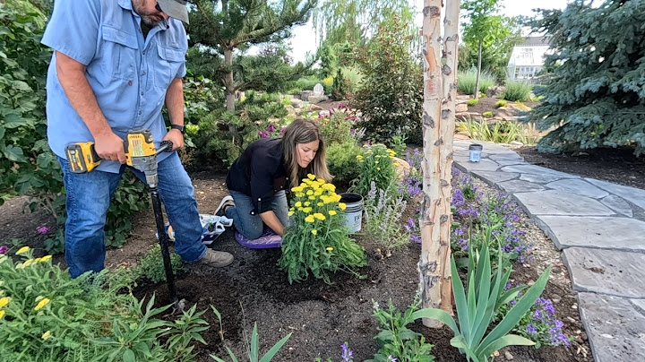 Planting 3 Powerhouse Plants for Full Sun & Weeding the Persephone Garden! 🌼💪🌿