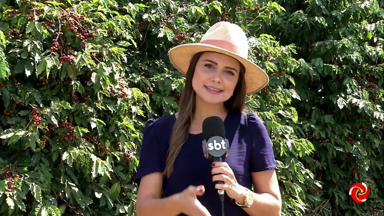 Café: Qualidade, cooperativismo e sustentabilidade