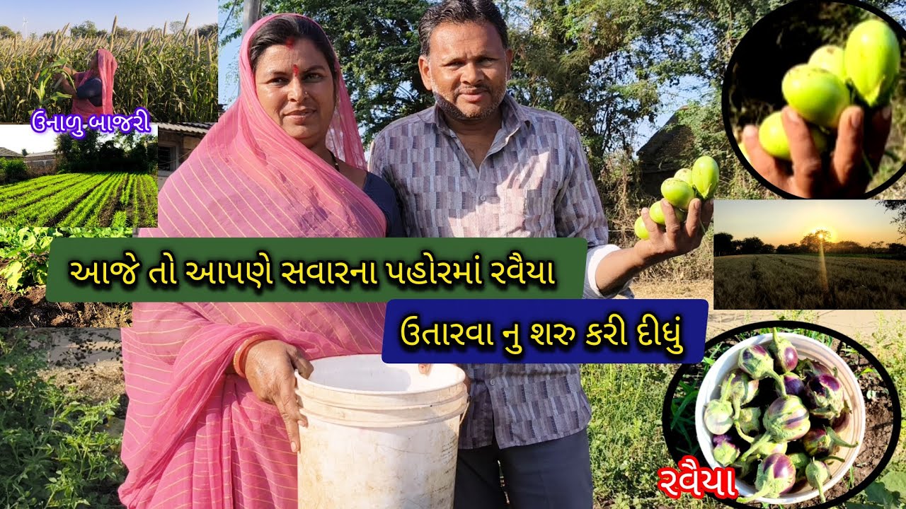 આજે તો આપણે સવારના પહોરમાં રવૈયા ઉતારવાનું શરૂ કરી દીધું 🍆🥰🍆