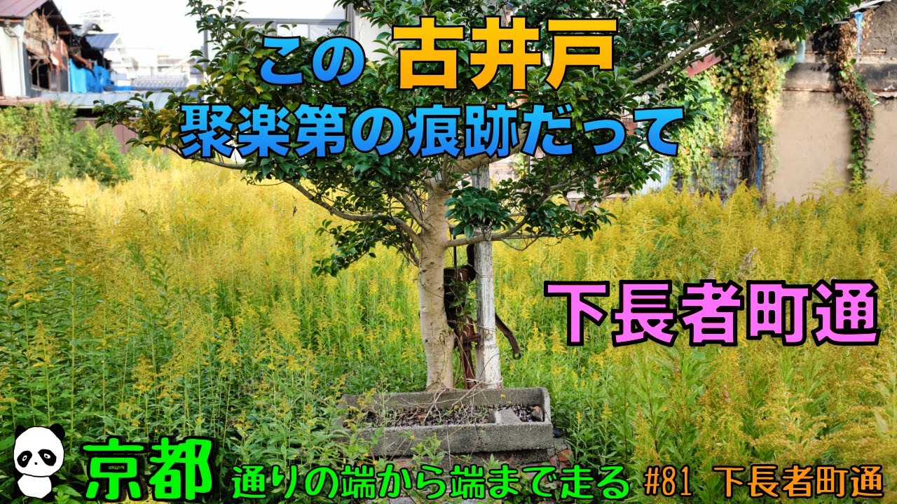 京都ポタリング　通りの端から端まで走る！　#81下長者町通　#京都 #ポタリング #自転車