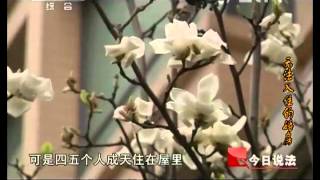 今日说法 《今日说法》 20130401 无法入住的婚房