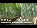 Arashiyama Kyoto - The most beautiful bamboo forest in Japan | 4K
