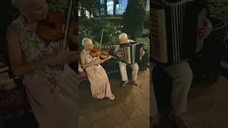 Прощание славянки #shorts #андрэберс #музыка #top #girl #trends #harmonic #folk #harmony #accordion