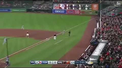 STEVE PEARCE INSANE DIVING CATCH IN STANDS