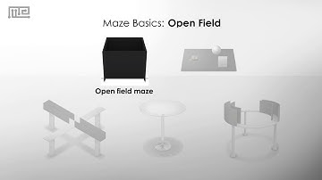 Open Field Test: A Measure of Anxiety