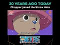 Chopper Joining the Straw Hats Anniversary