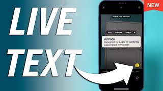 How to Copy and Paste Text from Image on iPhone screenshot 5