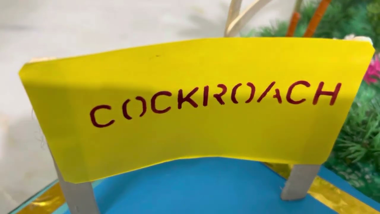 School project ( Insects ) for l k g and u k g kids