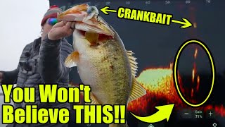 UNBELIEVABLE Double Digit Bass Eating Crankbaits on LiveScope! (No one