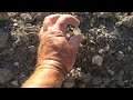 Field Walking Freaks # 5 : Romans under foot.