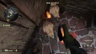 Desbl Gaminggrizzly Gegen Chamäleon Esport