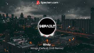 Birdy - Wings (Default DnB Remix)