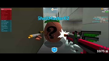 18 Kill Streak! | Shell Shockers