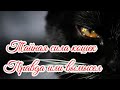 Тайная сила кошек Правда или вымысел The Secret Power of cats Truth or fiction