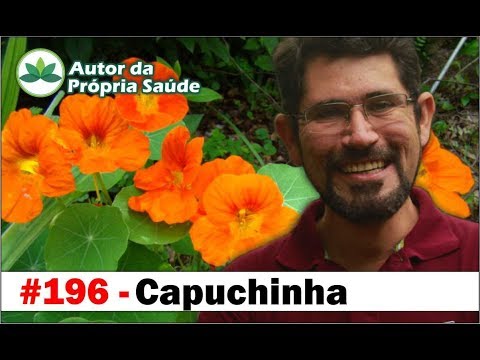 Vídeo: O Que é Valorizado Pela Capuchinha