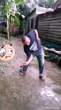 Status wa lucu bapak2 joget coy