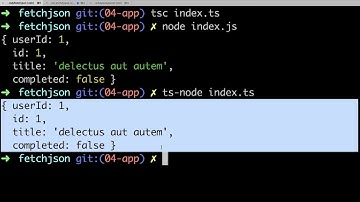 Lesson 4  Executing Typescript Code