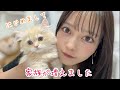 子猫をお迎えした日のVlog