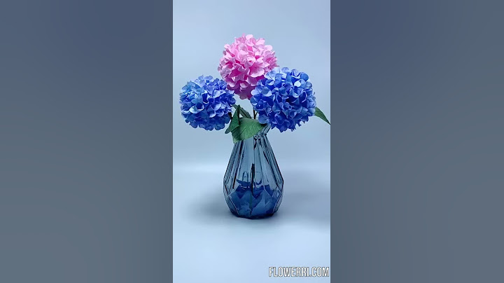 DIY How to Make Paper Flower Hydrangea