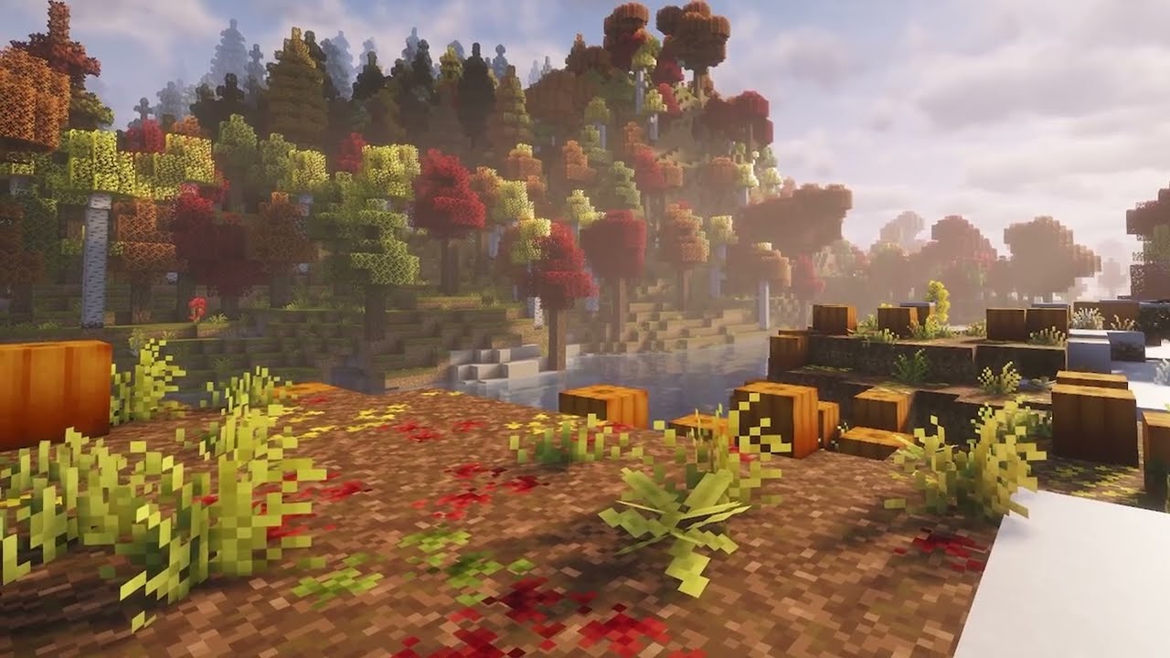 pumpkin patch | cozy piano music to relax, study, & sleep