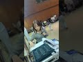 殺陣シーン絶賛稽古中！