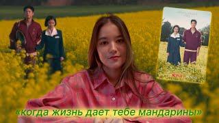 картинка: 9 причин, почему я так люблю дораму «когда жизнь дает тебе мандарины» 🍊