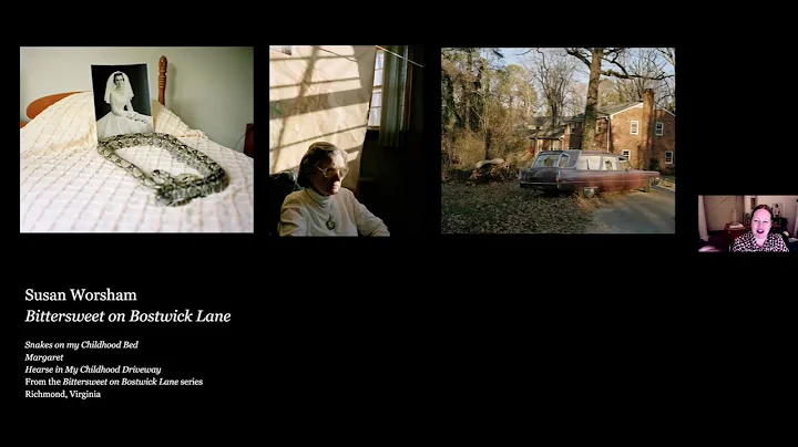Virtual Artist Talk with McNair Evans and Susan Wo...