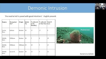 Lecture 4 - Experimental Design