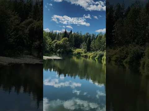 Просто красивое видео природы