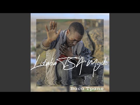 Litaba Tsa Mojolo