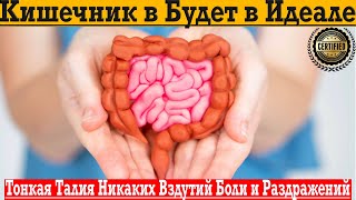 Больше никаких проблем с кишечником! Тонкая талия, без вздутий, раздражений и боли после еды!