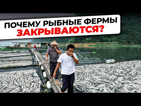 Вся ПРАВДА о причинах ЗАКРЫТИЯ ФЕРМ УЗВ | Как ОБЕЗОПАСИТЬ свой БИЗНЕС?