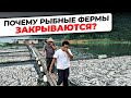 Вся ПРАВДА о причинах ЗАКРЫТИЯ ФЕРМ УЗВ | Как ОБЕЗОПАСИТЬ свой БИЗНЕС?