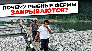 Вся ПРАВДА о причинах ЗАКРЫТИЯ ФЕРМ УЗВ | Как ОБЕЗОПАСИТЬ свой БИЗНЕС?