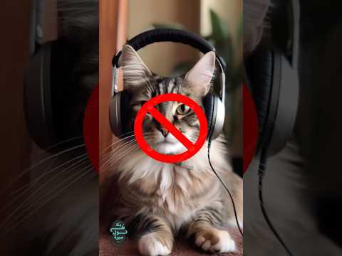 كيفما فكرت فكر العكس اكسبلور كتب كتاب ملخصات بودكاست تطوير الذات تنمية بشرية