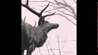 Agalloch - I Am The Wooden Doors