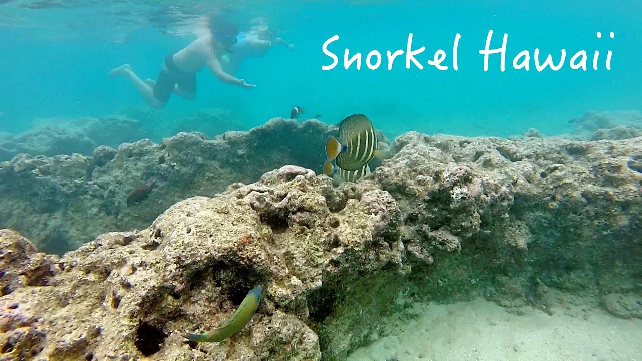Snorkeling in Hawaii YouTube