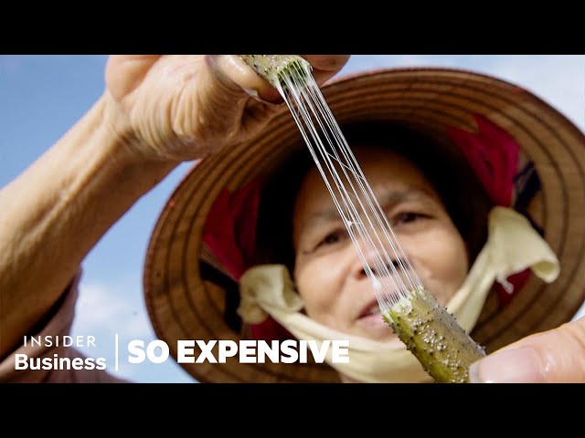 How 77 Expensive Products Are Made By Masters | So Expensive Marathon | Business Insider