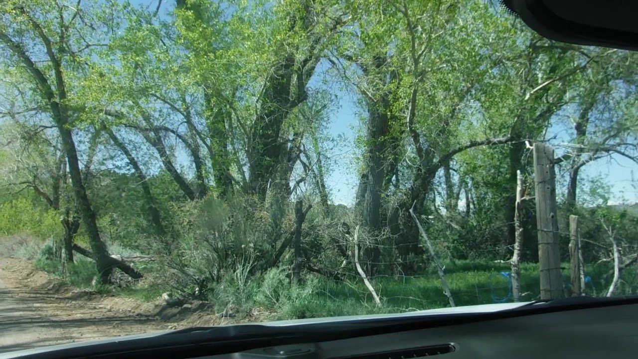 Driving From Pine Valley Utah to Hamblin Graveyard - YouTube