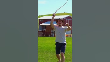 Thumbnail of The Cairo Crack Bullwhip Demonstration